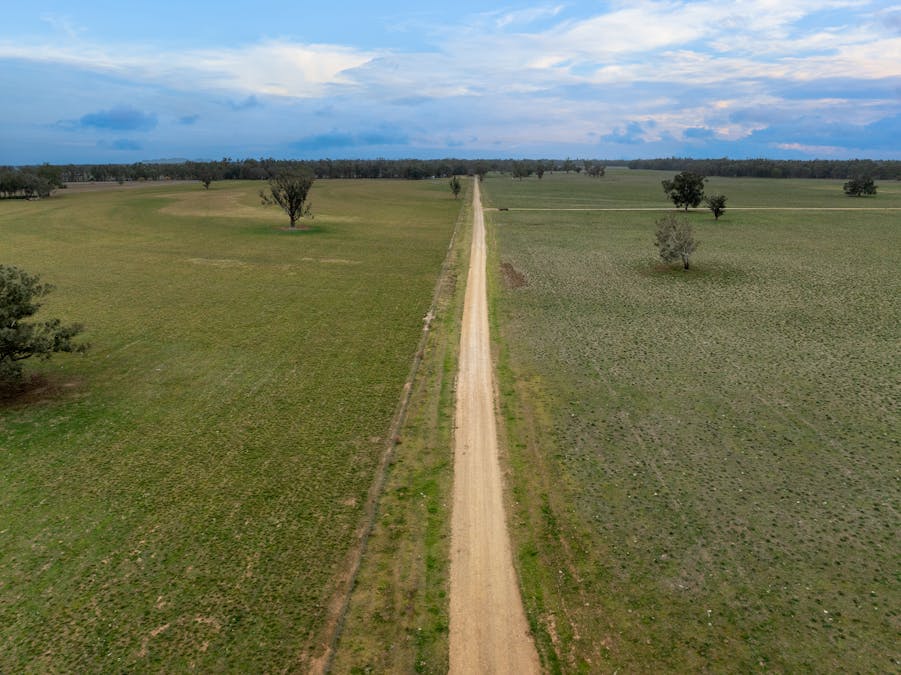 193 McPhillamys Lane, Forbes, NSW, 2871 - Image 30