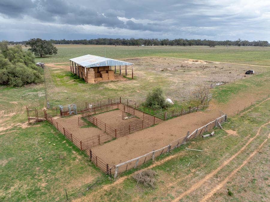 193 McPhillamys Lane, Forbes, NSW, 2871 - Image 22