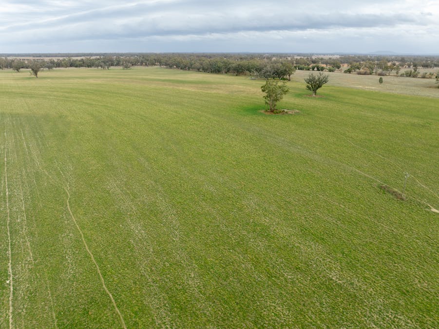 193 McPhillamys Lane, Forbes, NSW, 2871 - Image 31