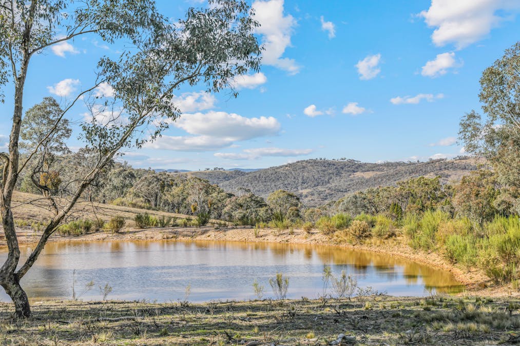 109 Briar Lane, Mount Rankin, NSW, 2795 - Image 3