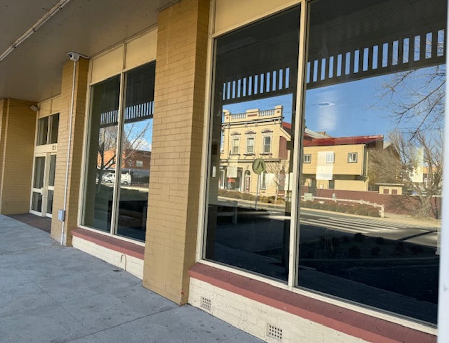 129 Bentinck Street, Bathurst, NSW, 2795 - Image 7