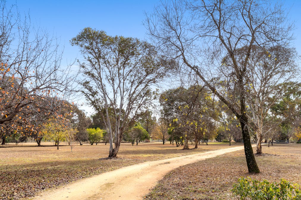 520 Darbys Falls  Road, Cowra, NSW, 2794 - Image 20
