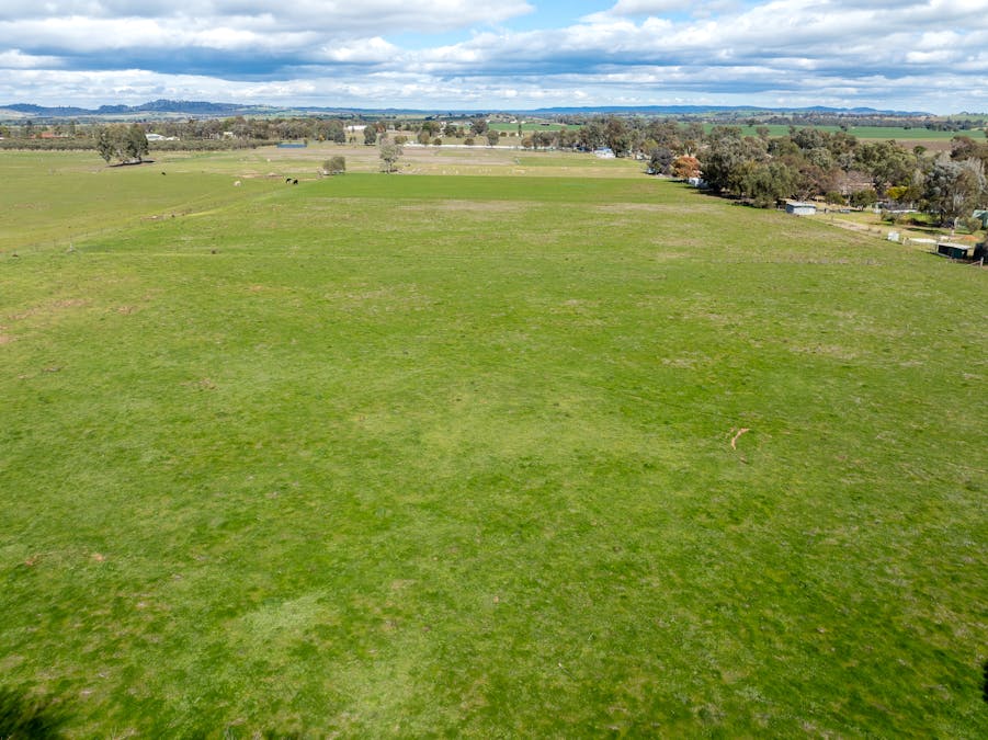 520 Darbys Falls  Road, Cowra, NSW, 2794 - Image 26