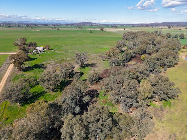 Lot 1 Waterview Road, Gooloogong, NSW, 2805 - Image 1