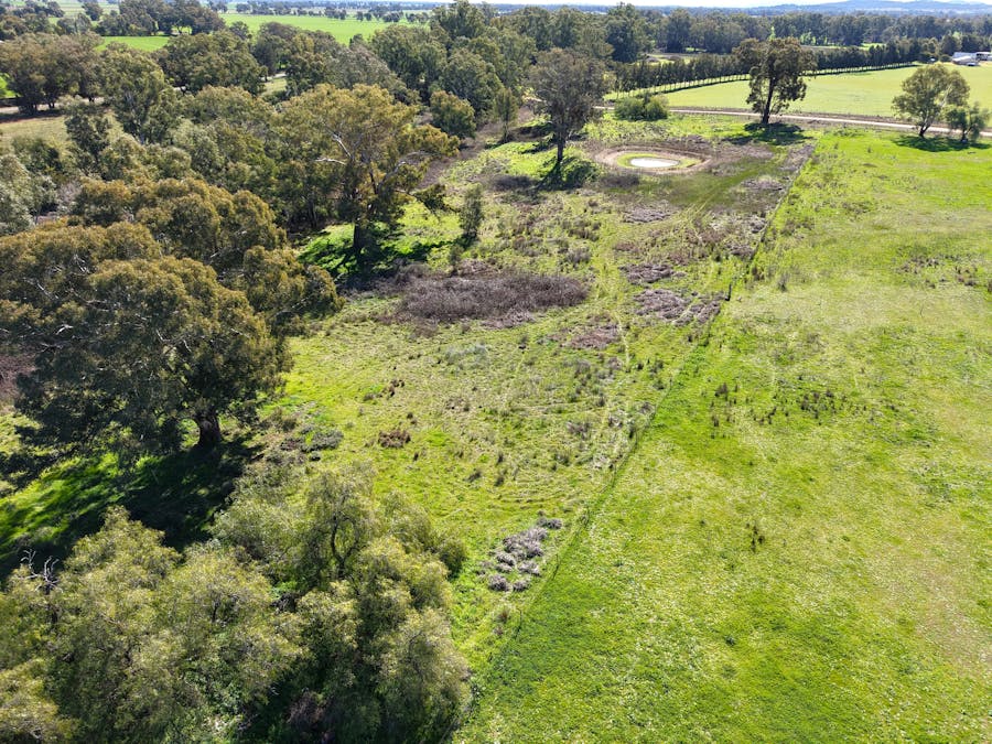 Lot 1 Waterview Road, Gooloogong, NSW, 2805 - Image 5