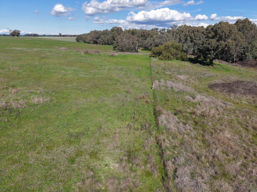 Lot 1 Waterview Road, Gooloogong, NSW, 2805 - Image 8