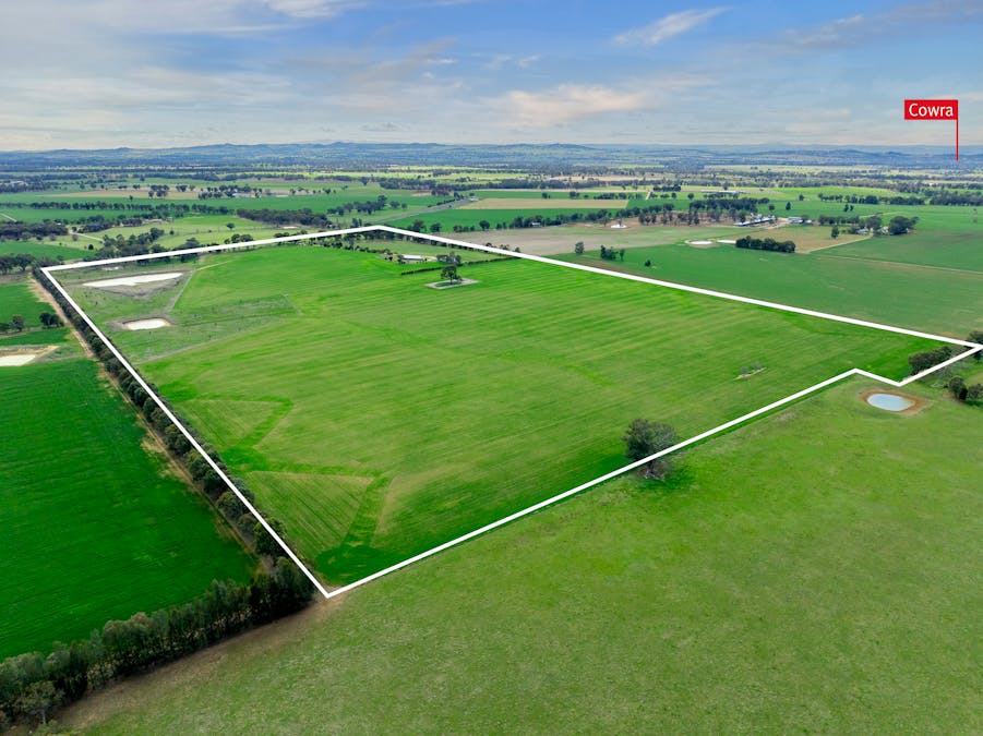 151 Barrs Road, Cowra, NSW, 2794 - Image 2