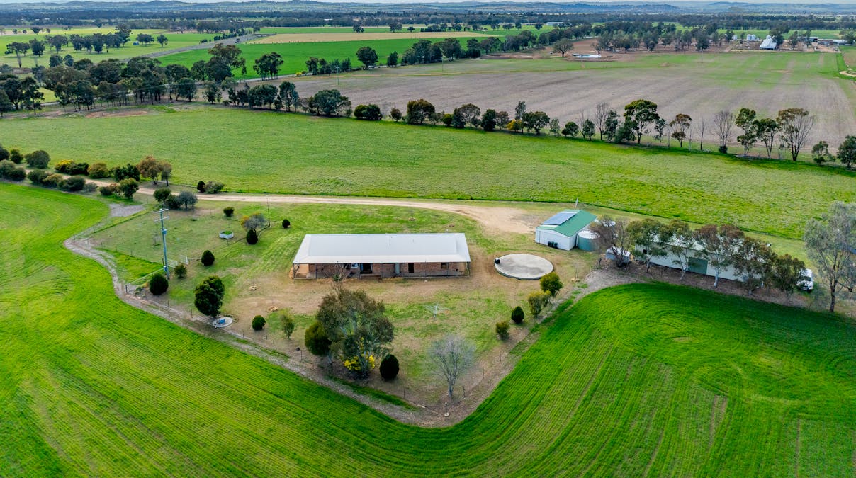 151 Barrs Road, Cowra, NSW, 2794 - Image 15