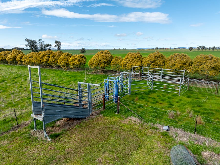 151 Barrs Road, Cowra, NSW, 2794 - Image 19