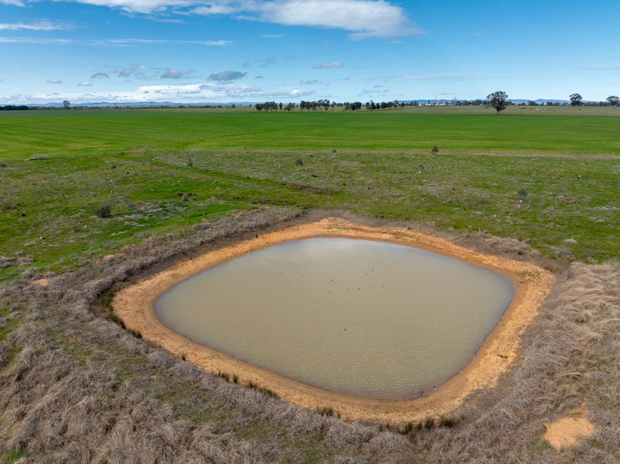 151 Barrs Road, Cowra, NSW, 2794 - Image 22
