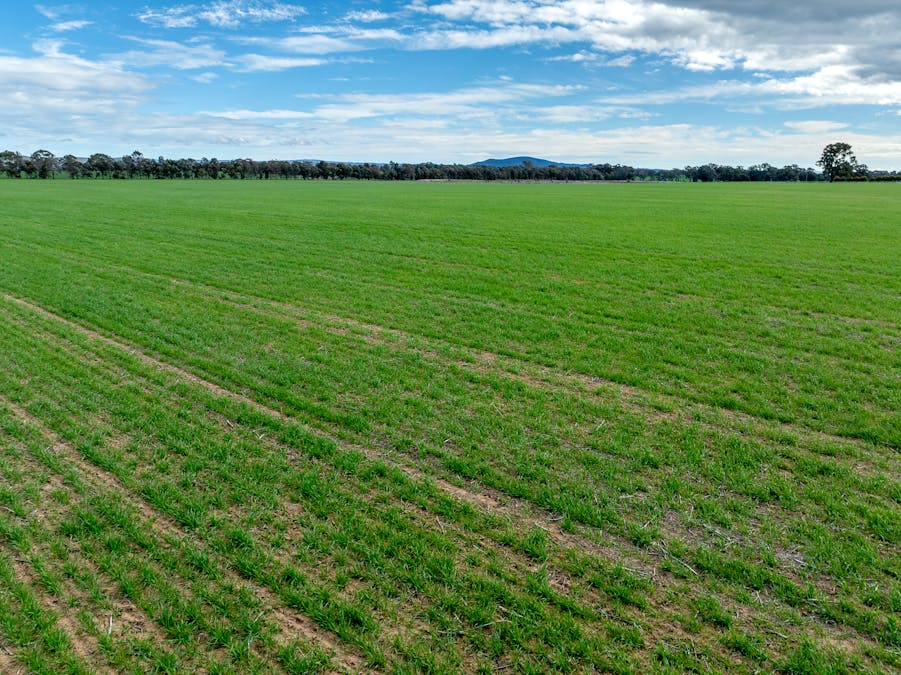 151 Barrs Road, Cowra, NSW, 2794 - Image 23