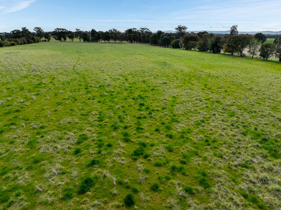 151 Barrs Road, Cowra, NSW, 2794 - Image 24