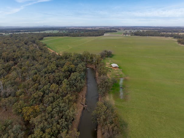 193 McPhillamys Lane, Forbes, NSW, 2871 - Image 1
