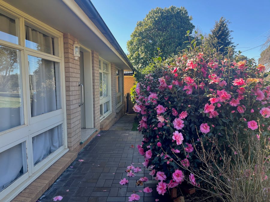 23 Blenheim Avenue, Oberon, NSW, 2787 - Image 10