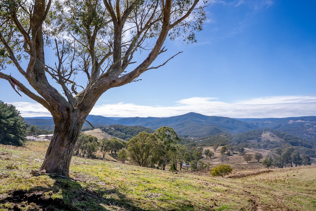 11 Sandalls Drive, Rydal, NSW, 2790 - Image 14