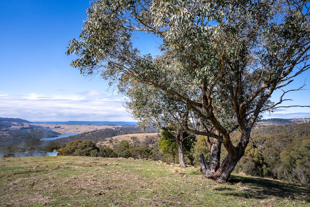 11 Sandalls Drive, Rydal, NSW, 2790 - Image 15