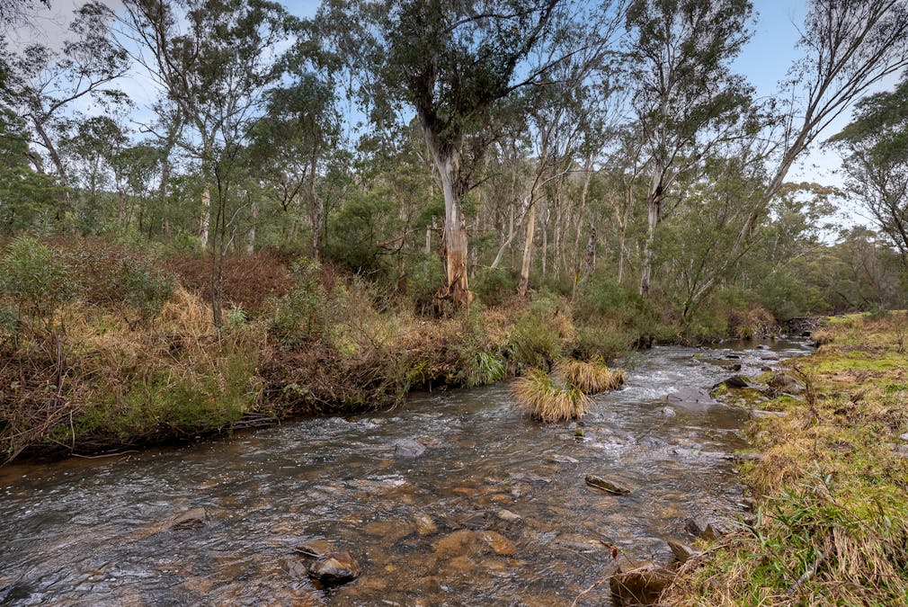 1697 Duckmaloi Road, Hampton, NSW, 2790 - Image 3