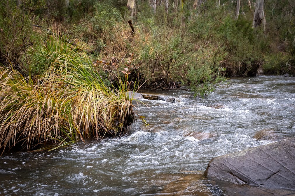 1697 Duckmaloi Road, Hampton, NSW, 2790 - Image 8