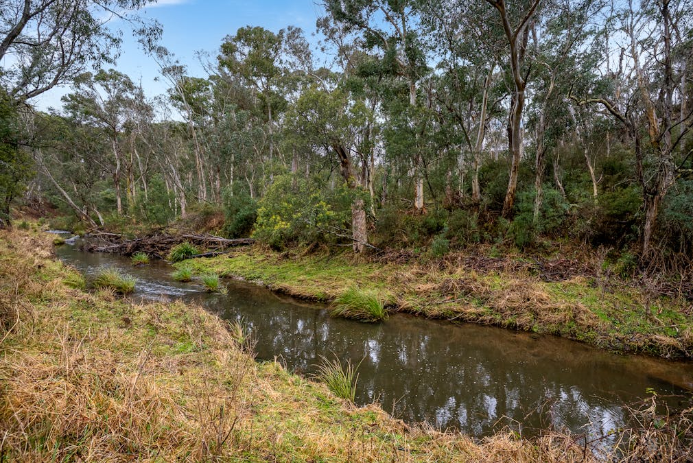 1697 Duckmaloi Road, Hampton, NSW, 2790 - Image 9