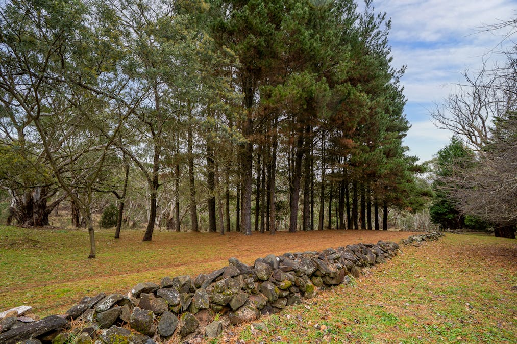 1697 Duckmaloi Road, Hampton, NSW, 2790 - Image 10