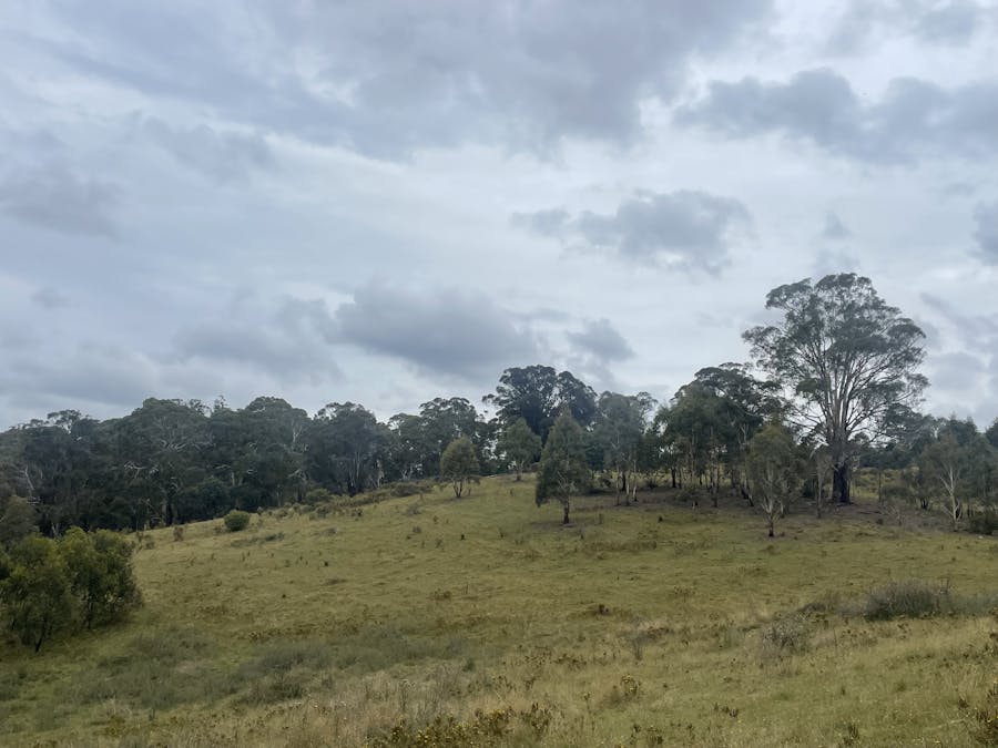 1697 Duckmaloi Road, Hampton, NSW, 2790 - Image 25