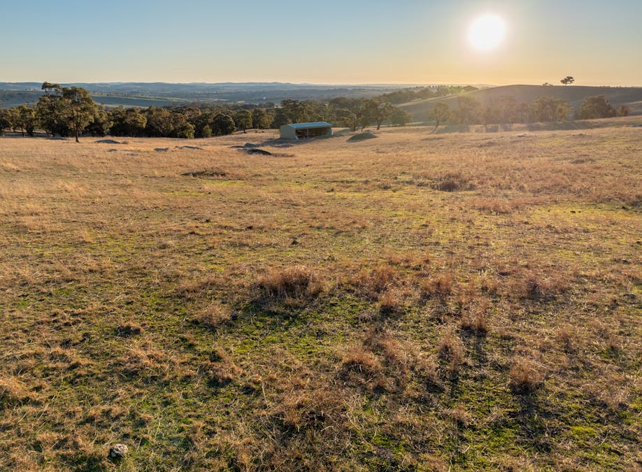 1557 Tarana Road, Locksley, NSW, 2795 - Image 27