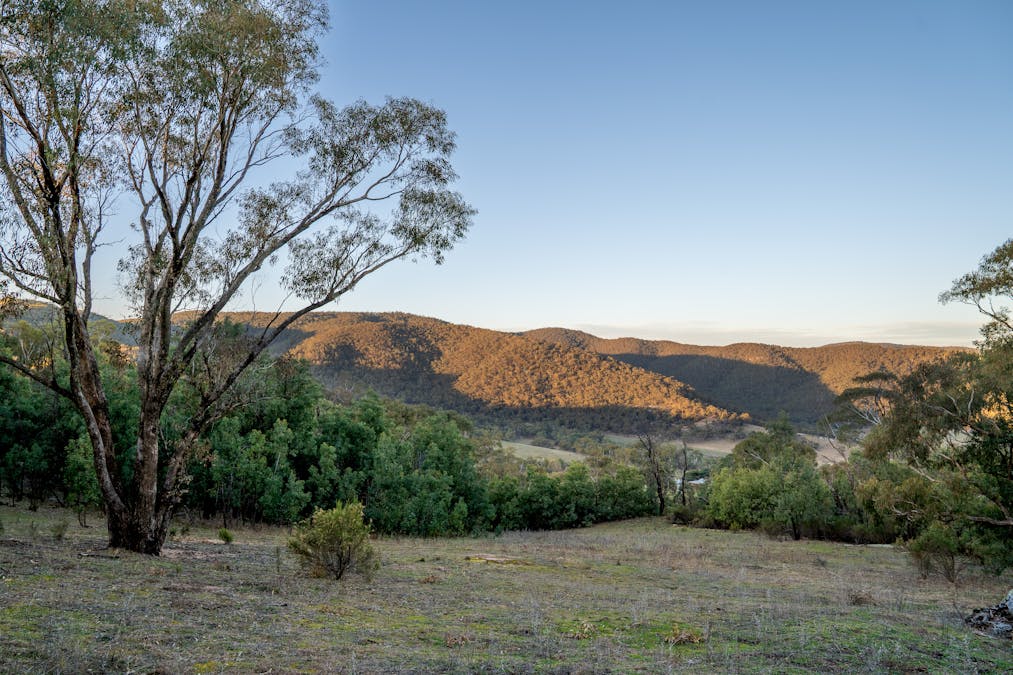 1557 Tarana Road, Locksley, NSW, 2795 - Image 31