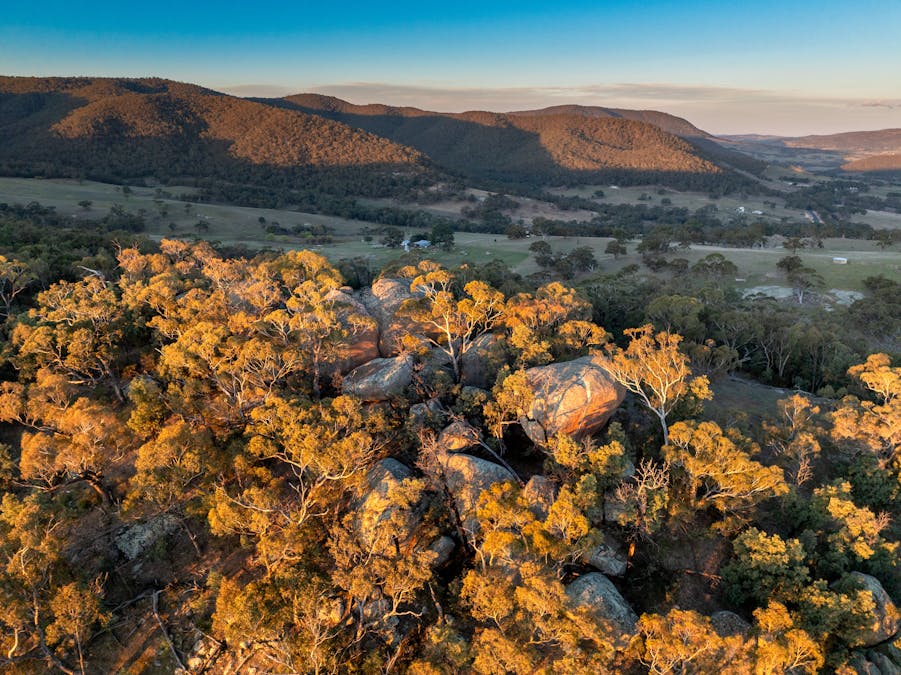 1557 Tarana Road, Locksley, NSW, 2795 - Image 25