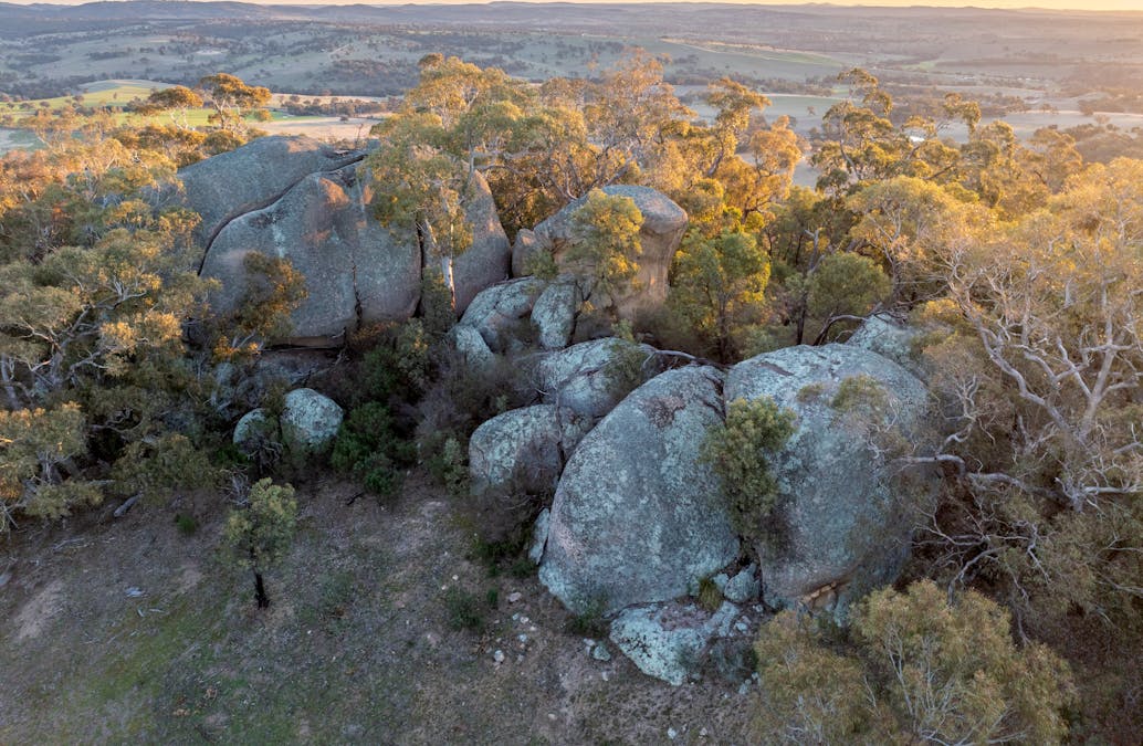 1557 Tarana Road, Locksley, NSW, 2795 - Image 3