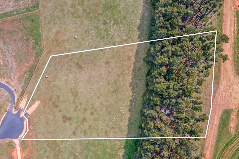 16 Ben Nevis Close, Oberon, NSW, 2787 - Image 4