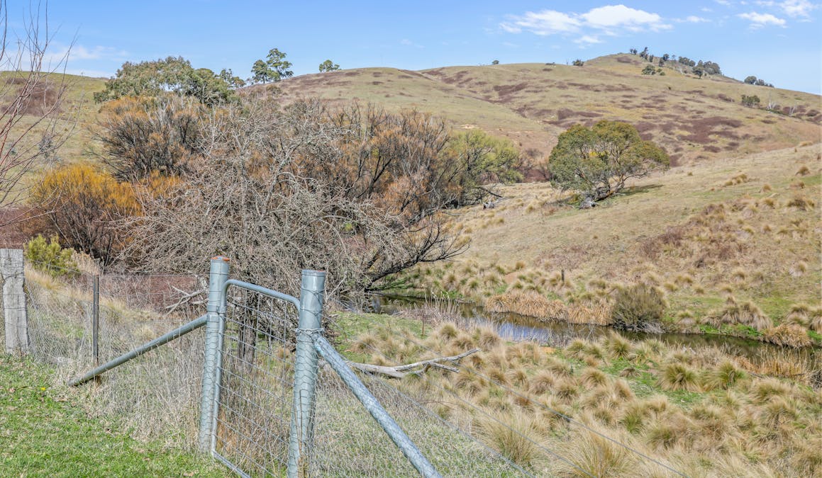451 Junction Road, Duckmaloi, NSW, 2787 - Image 20