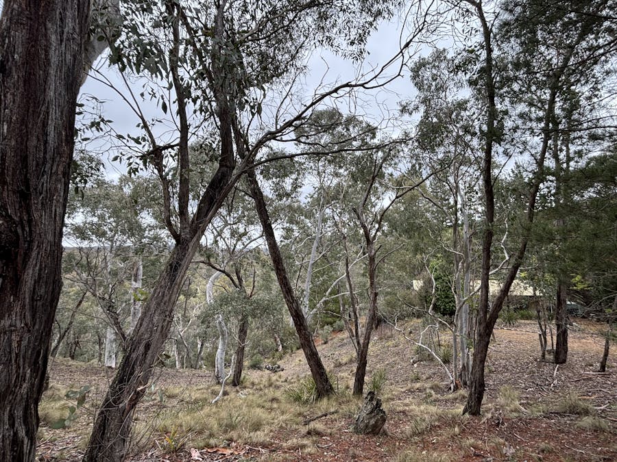 269 The Glen Road, Jerrong, NSW, 2580 - Image 26