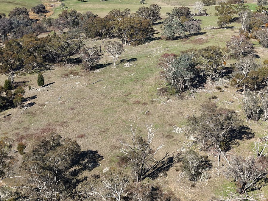 53 Alison Drive, Woodstock, NSW, 2793 - Image 5