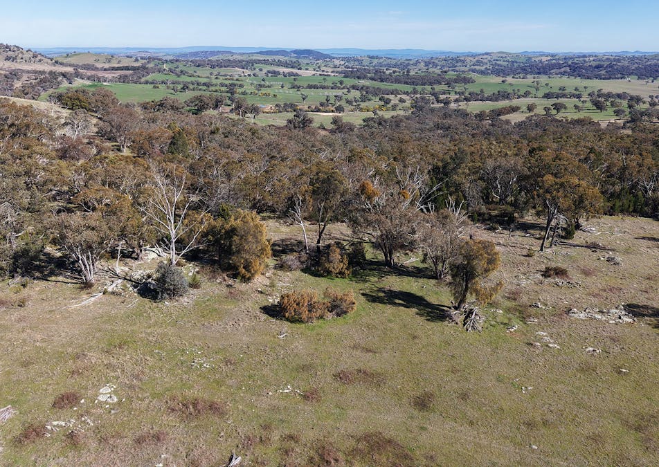 53 Alison Drive, Woodstock, NSW, 2793 - Image 8