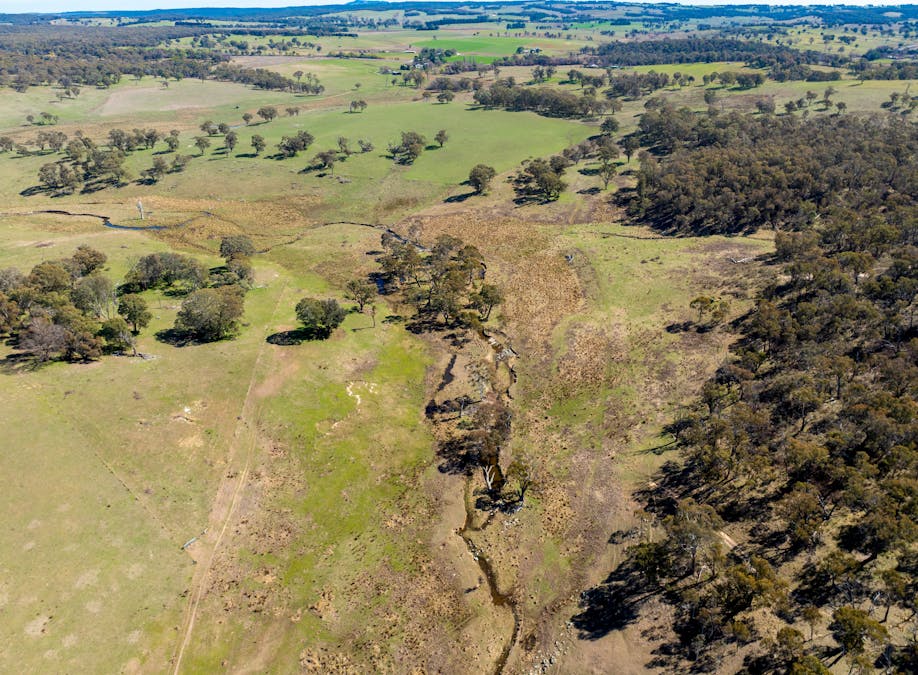 5353 Trunkey Road, Trunkey Creek, NSW, 2795 - Image 20