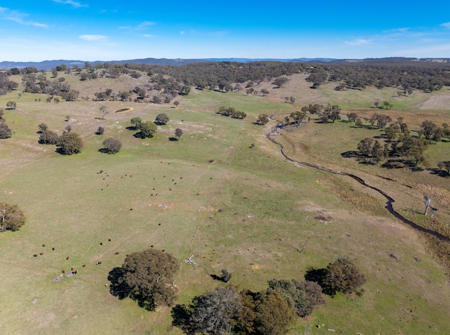 5353 Trunkey Road, Trunkey Creek, NSW, 2795 - Image 22