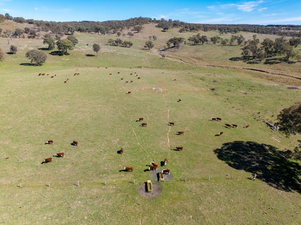 5353 Trunkey Road, Trunkey Creek, NSW, 2795 - Image 1