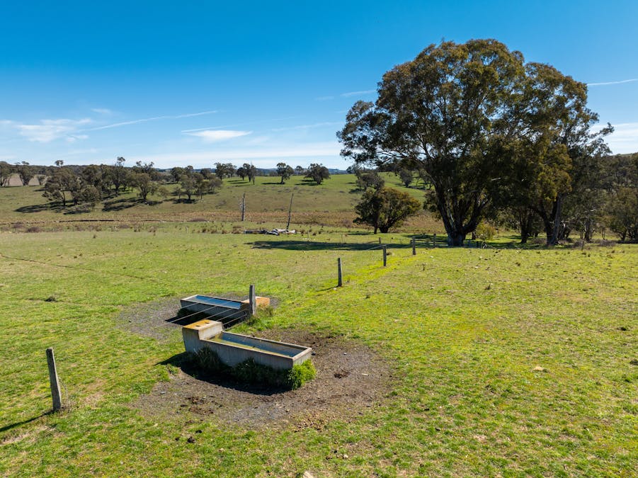 5353 Trunkey Road, Trunkey Creek, NSW, 2795 - Image 15