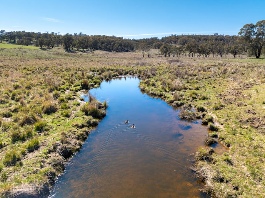 5353 Trunkey Road, Trunkey Creek, NSW, 2795 - Image 4