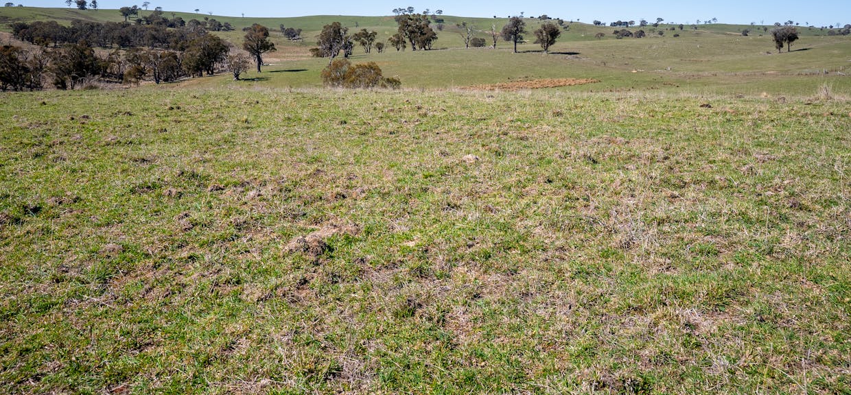 5353 Trunkey Road, Trunkey Creek, NSW, 2795 - Image 24