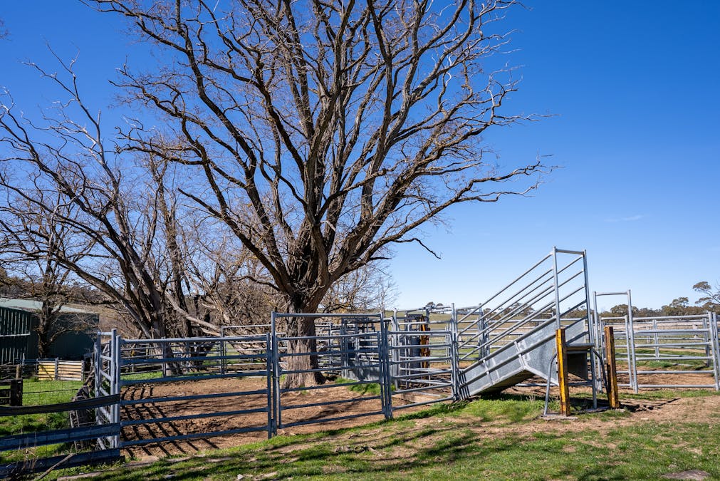 5353 Trunkey Road, Trunkey Creek, NSW, 2795 - Image 13