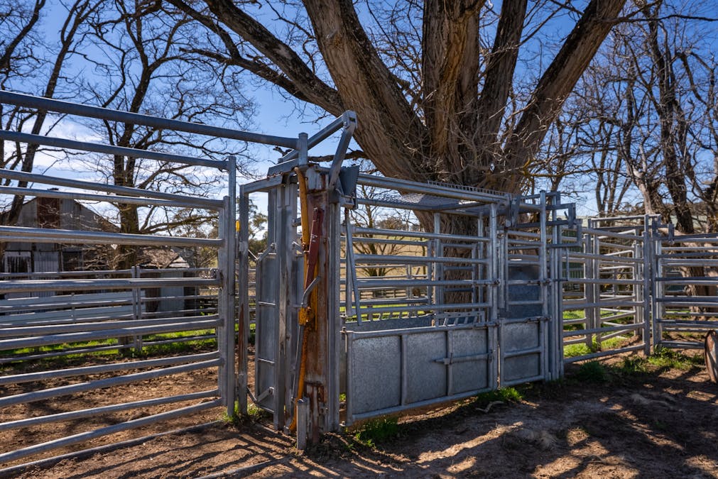 5353 Trunkey Road, Trunkey Creek, NSW, 2795 - Image 11
