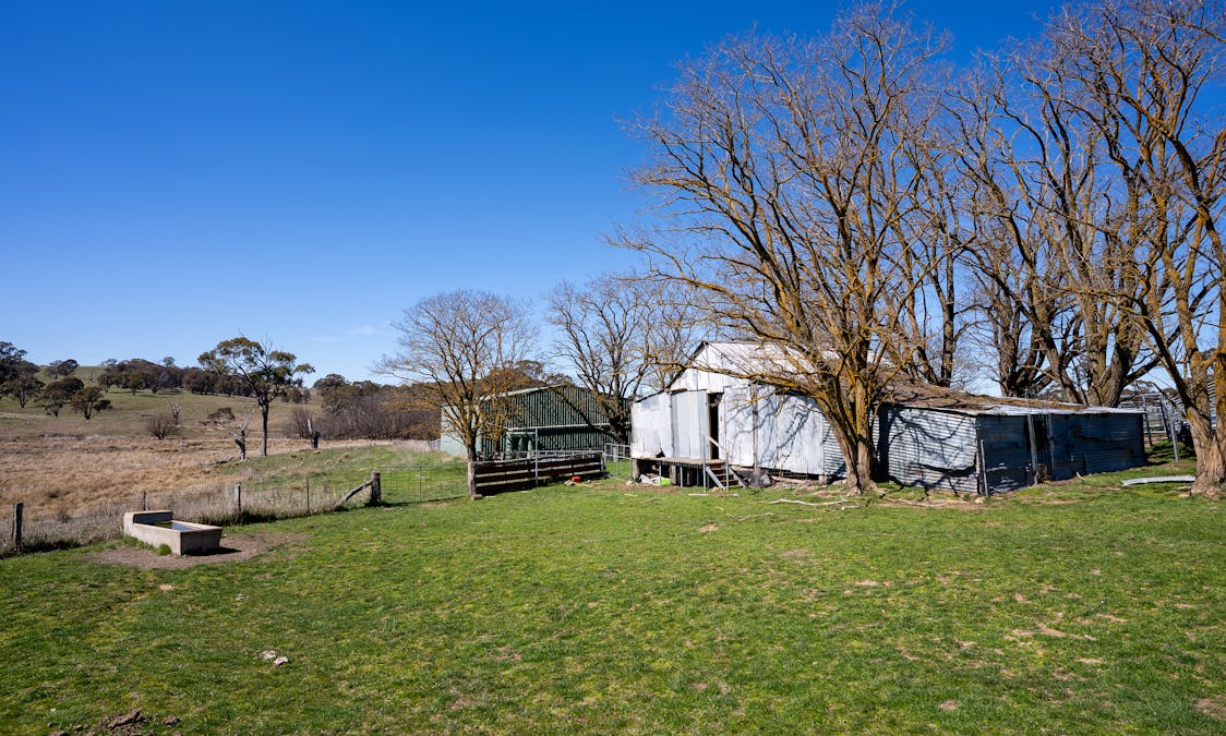 5353 Trunkey Road, Trunkey Creek, NSW, 2795 - Image 10