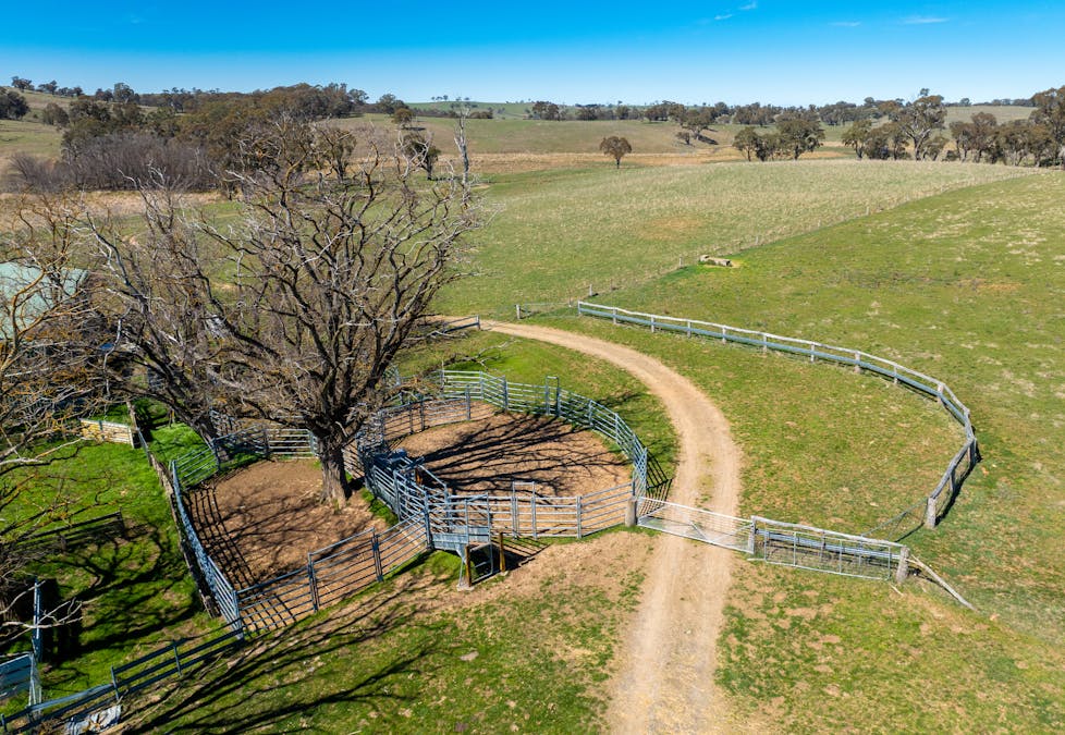 5353 Trunkey Road, Trunkey Creek, NSW, 2795 - Image 3