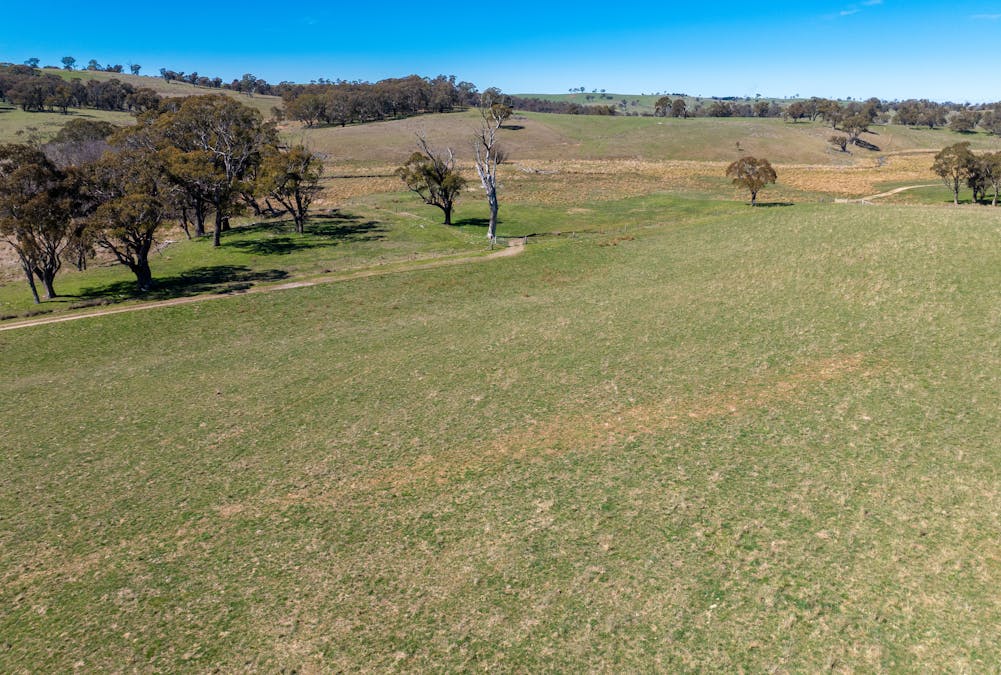 5353 Trunkey Road, Trunkey Creek, NSW, 2795 - Image 26
