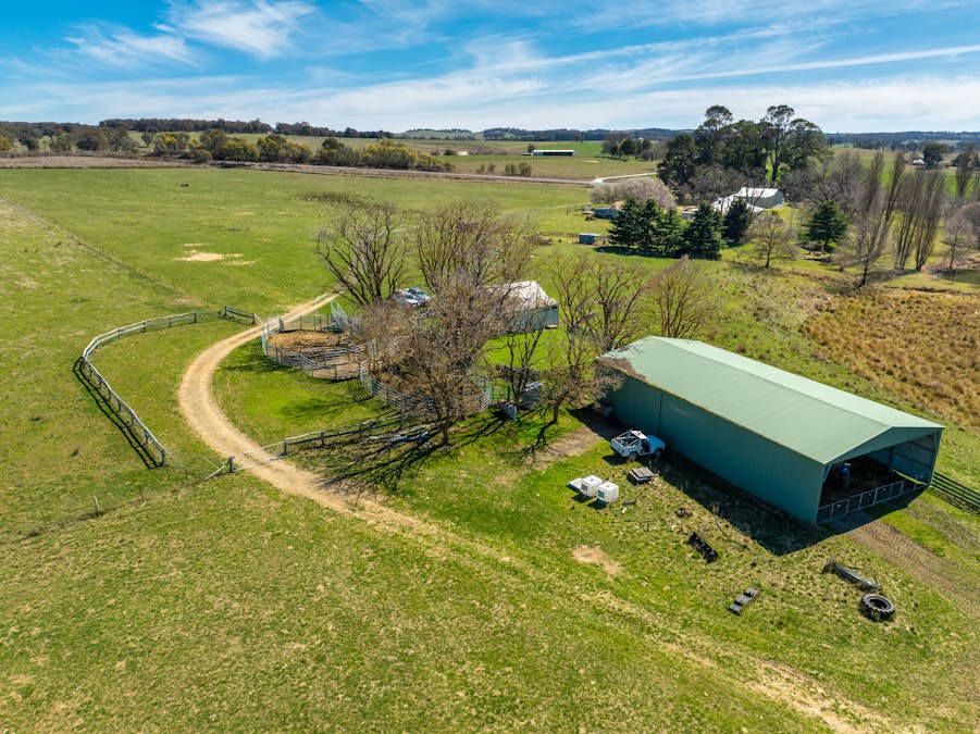 5353 Trunkey Road, Trunkey Creek, NSW, 2795 - Image 9
