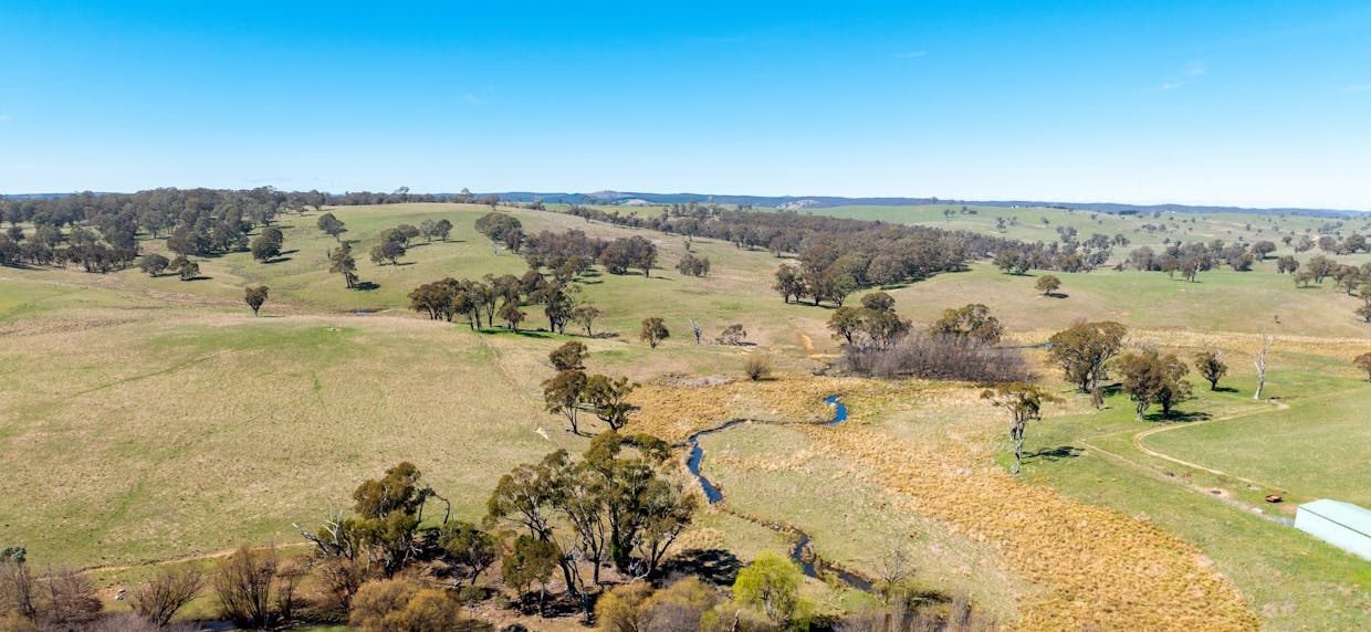 5353 Trunkey Road, Trunkey Creek, NSW, 2795 - Image 5