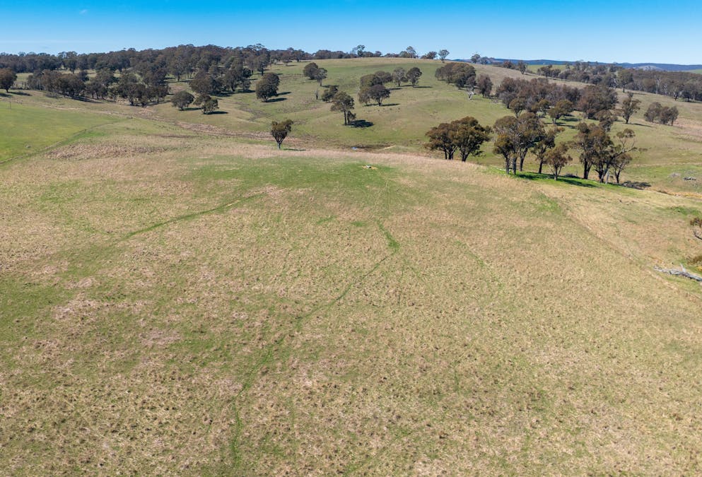 5353 Trunkey Road, Trunkey Creek, NSW, 2795 - Image 27
