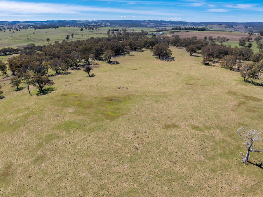 5353 Trunkey Road, Trunkey Creek, NSW, 2795 - Image 28