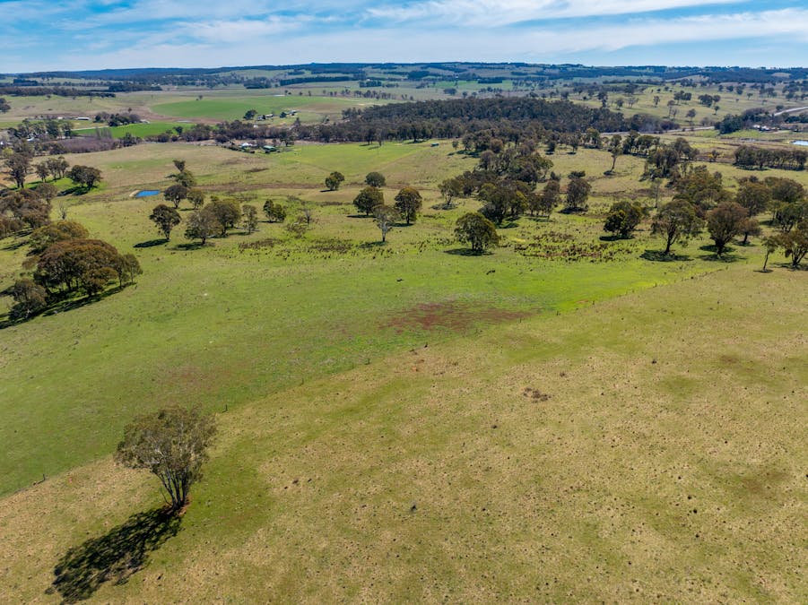 5353 Trunkey Road, Trunkey Creek, NSW, 2795 - Image 29